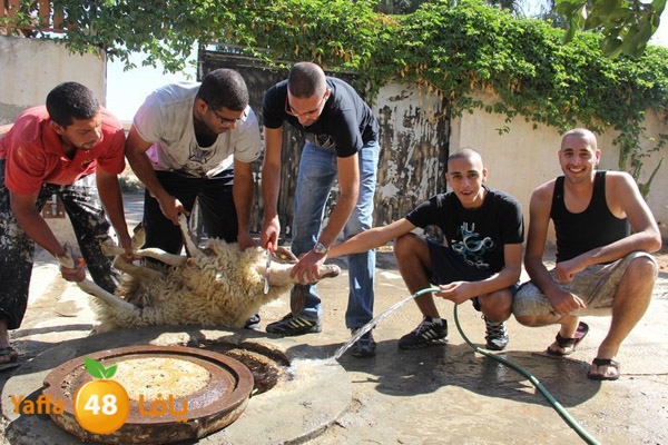 dabe7 ludj31 (40).JPG